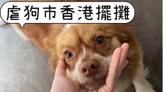 【港女養貓】 揭陽市旺旺虐狗案檔主香港寵物展擺攤實況