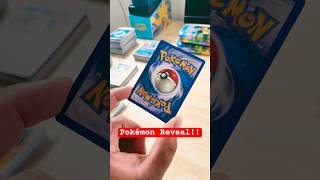 Who’s that Pokémon?!￼