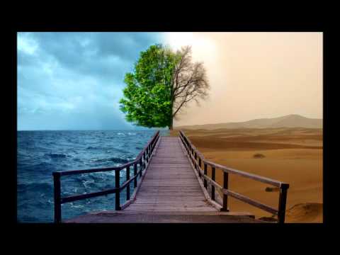 Arty vs The Doppler Effect - The Wonder Hides In The Deep (Myon & Shane 54 Mashup)