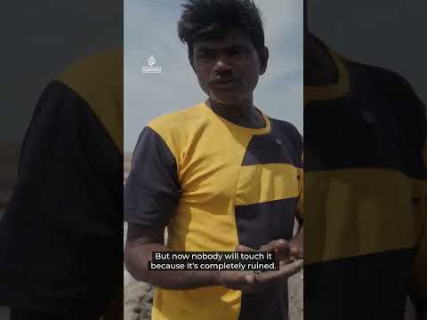 India’s salt workers: Behind the booming salt industry | 101 East #shorts