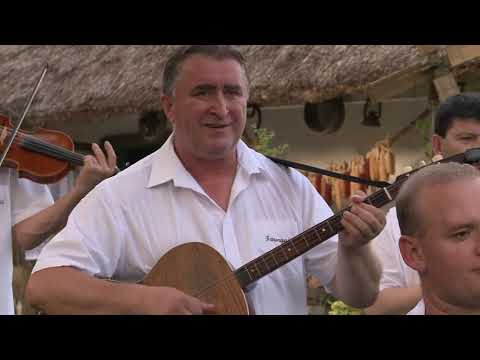 Rajko Suhodolčan i Faringaši - Labud plovi