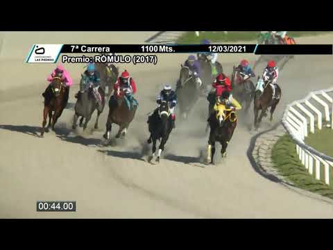 210312 c07 - FARMALL - HIPODROMO LAS PIEDRAS