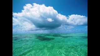 Aonua - Te Moana [The Ocean Blue]