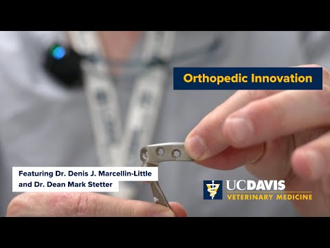 Advanced Veterinary Surgery Center | School of Veterinary Medicine