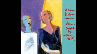 Adrian Belew - 'Z'