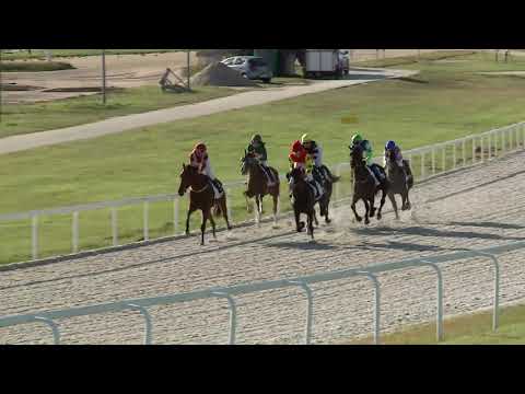 2020.10.04. 07. futam - AMATŐRVERSENY HENDIKEP (V.o.) (szintetikus pálya)