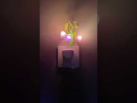 Mashroom Matka Light