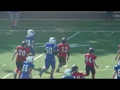 Sean Saunders  11 yr old QB - Class of 2023 - 2016 Highlights