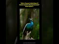 EBNW Story 9 Video thumbnail