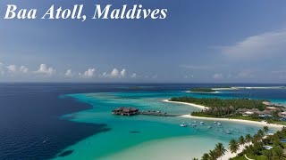 Discover Baa Atoll: Maldives’ Hidden Paradise