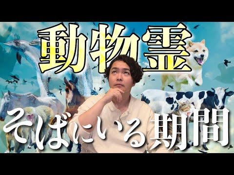 ペットの死を子供にどう説明する?