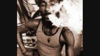 lee perry - i am a madman (complete)