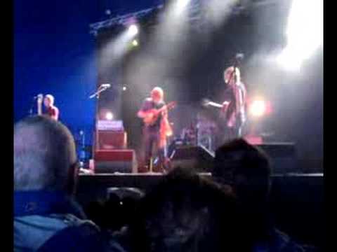 The Yellow Moon Band at Green Man 2008