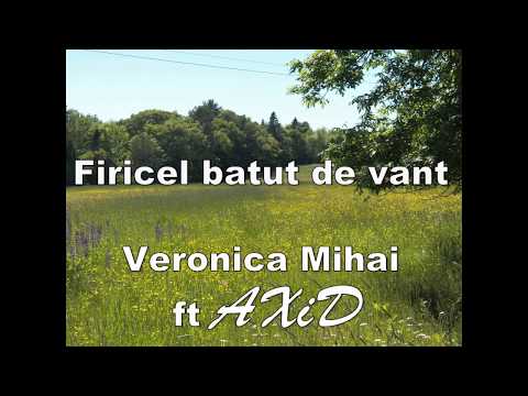 Veronica Mihai - Firicel batut de vint