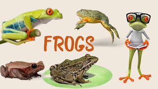 "Exploring the World of Frogs: 30 Fascinating Species You Need to See!"