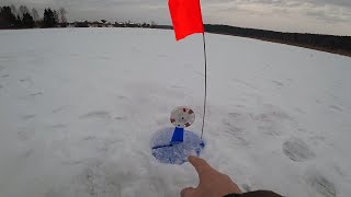 Зимняя рыбалка на реке нейва