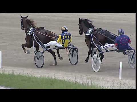 Napoli Trotto 19/05/2023 - 3ª corsa