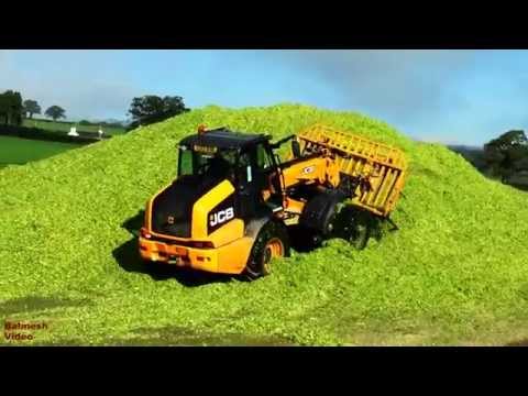 Maize Harvest incl. Pit Work with JCB TM320