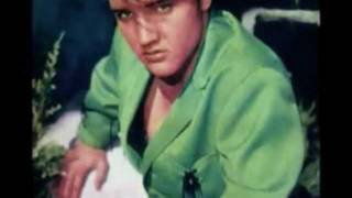 Elvis Presley - If Every Day Was Christmas