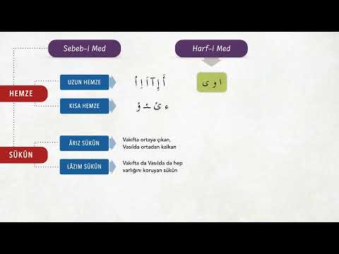 Tecvid Dersleri 04 - Med'ler Nasıl Oluşur? - Kavram Haritası - Mehmet Emin Yiğit