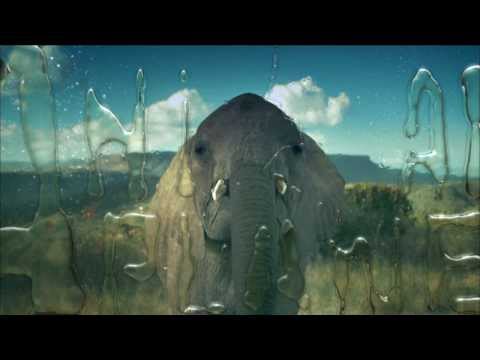 Animal Planet HD Europe [fullHD] - Amazing Advert !! - 06.09.2013