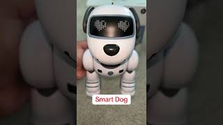 This smart dog does it all—walk, sit, dance, handstand & more! #dog #smartdog