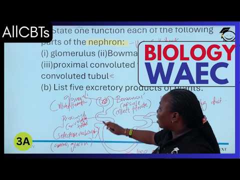 Likely WAEC 2026 Biology Theory Questions & Answers
