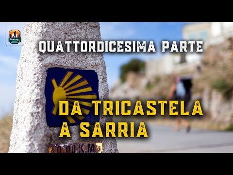 14- Cammino di Santiago-Da Tricastela a Sarria