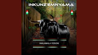 Download lagu Ngempela usebenze kahle mp3