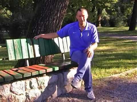 Nebojša Šofranac: Silvio Berlusconi uzeo telefon i pitao me: "Hoću li sad da smijenim Ancelottia?"