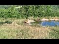 video x8vqYsxy7nE
