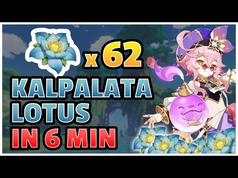 Kalpalata Lotus (Loto kalpa) Fast Farming Route IN 6 MINUTES ! [Genshin Impact]