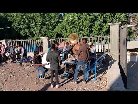 San Vicente mole colonia San Marcos municipio de copanatoya 7352718127 sr Carlos rojas.