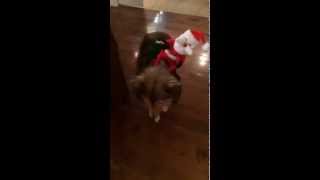 Here comes Santa Claus