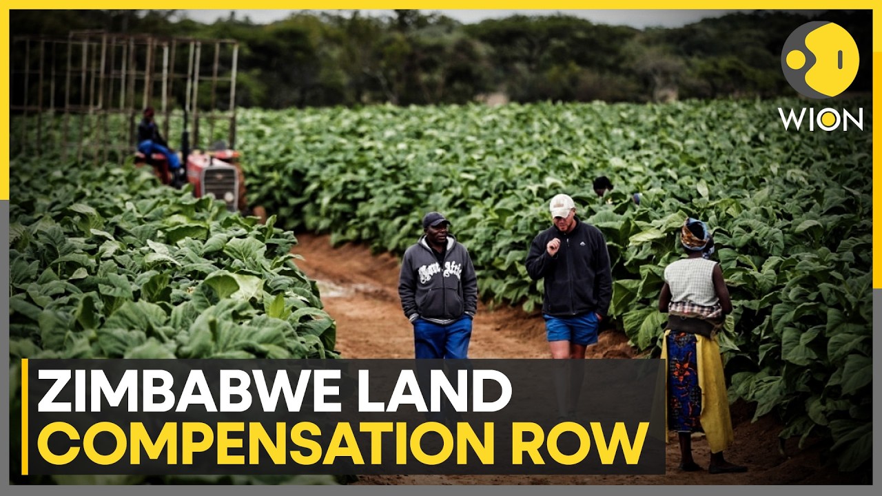 Zimbabwe Farmers Seek US Help Over Unpaid Compensation | WION