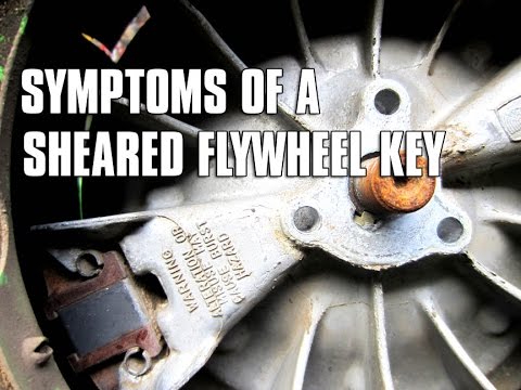 Lawnmower Will Not Start - You Will Never Guess Why!