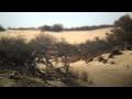 Matt Bauer - Dream's End trailer 1