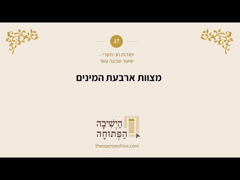 תמונה מקדימה לסרטון