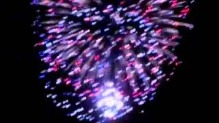 Bambi- Tokyo Police Club