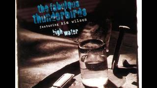 The Fabulous Thunderbirds - Too Much Of Everything