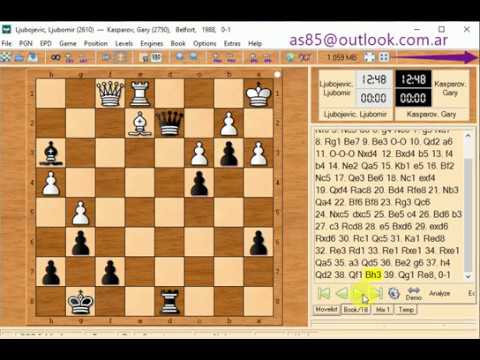 Garry kasparov and ljubojevic l 1988 belfort 0 1 494