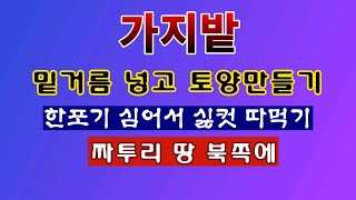 [텃밭농부 1,837]  가지밭에 밑거름 넣고 토양만들기. 두둑 만드는 방법 #가지재배