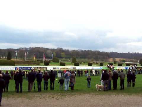 Galopprennen in Düsseldorf
