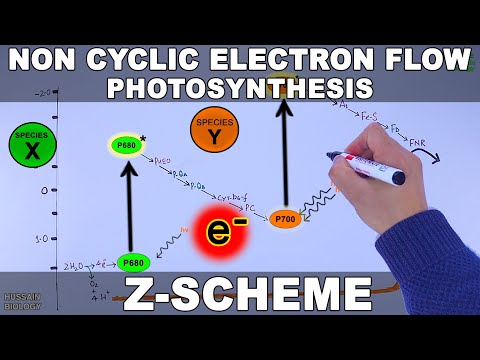 z-scheme Mp4 3GP Video & Mp3 Download unlimited Videos Download - z-scheme Mp4 3GP Video & Mp3 Download unlimited Videos Download -