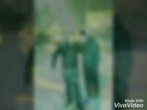 Gracian caka per Tanin e loshit