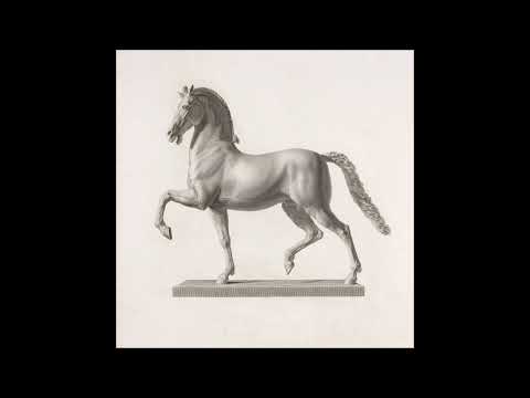 Dimi Angélis - Wild Bird [MORD119]