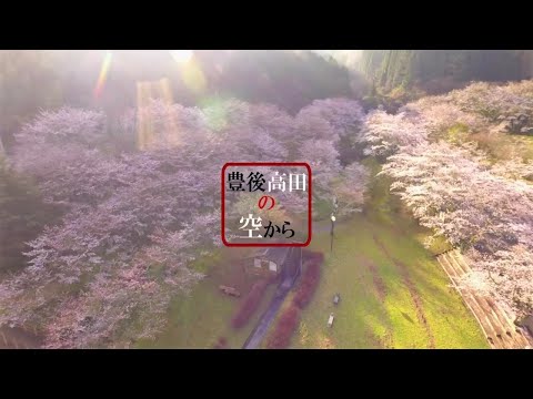 【ドローン映像】大分県豊後高田市　並石ダムグリーンランド　桜