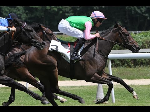 Frankfurt: Rennen der F.-Innung (D) - Siegerin: Sanandaj