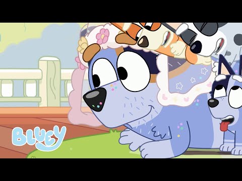 Capa de Um Casamento a Cavalo | Cavalinho | Bluey Português Brasil Canal Oficial