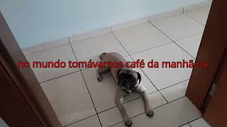 Meu Marido Não Viu...